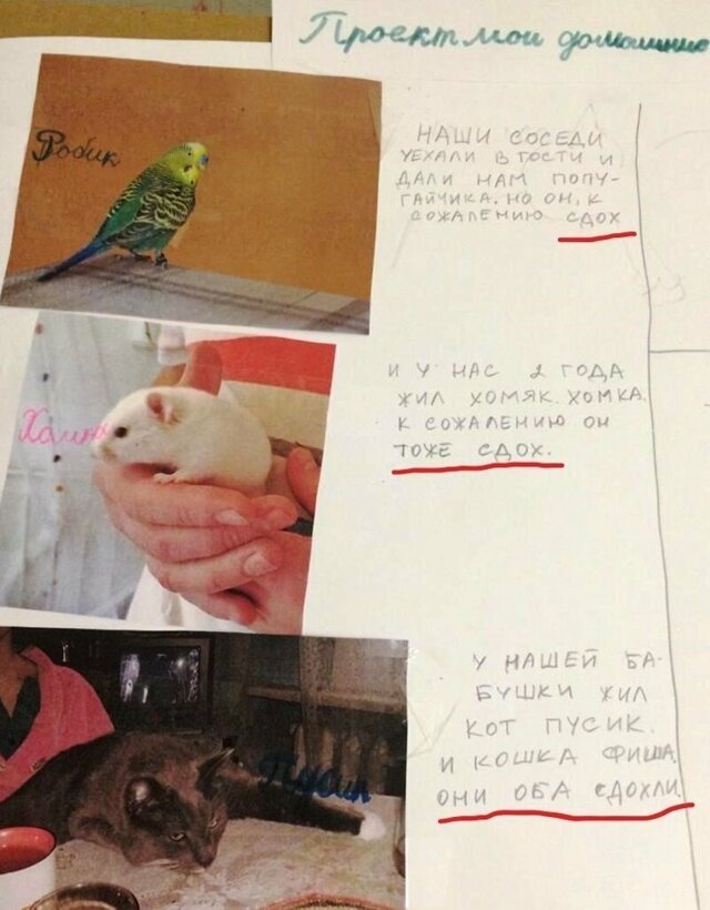 Кладбище домашних животных
