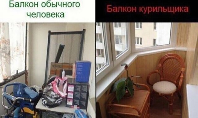 Прикольные и смешные картинки