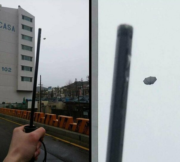 Смешные коментарии из соцсетей