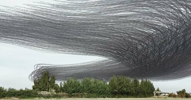 Фотограф показал, как в небе выглядят следы птиц