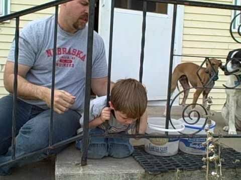 Когда родители отчаялись, пес подсказал, как спасти малыша