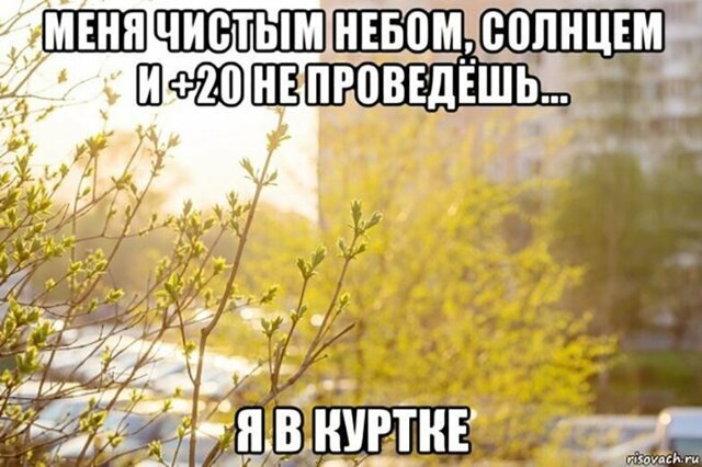 Прикольные и смешные картинки