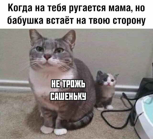 Прикольные и смешные картинки