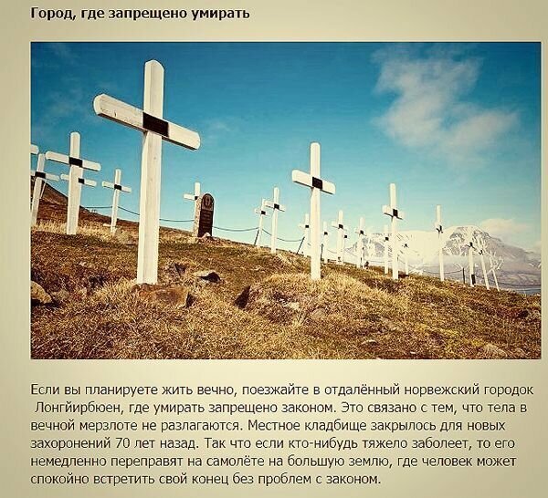Нелепые законы