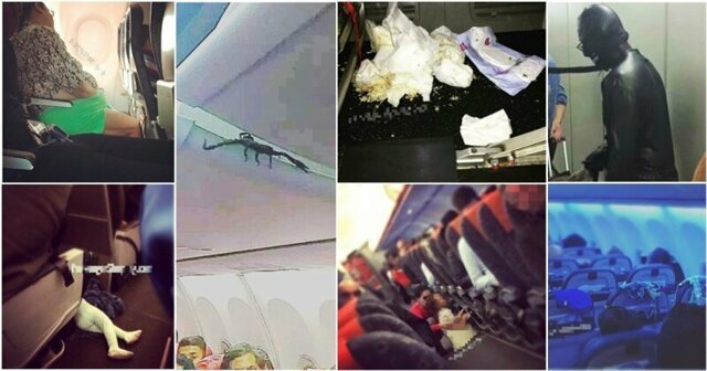 25 самых безумных и позорных фото и видео, сделанных пассажирами в самолетах
