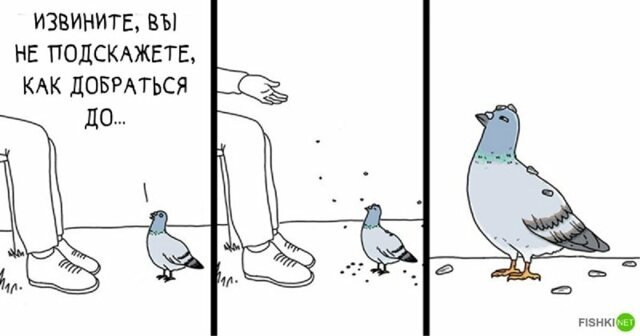 Если бы птицы могли говорить