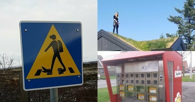 20 странных и удивительных вещей, которые можно увидеть в Исландии