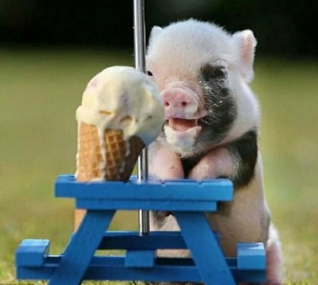 Намешалось