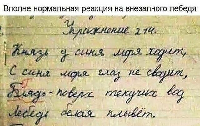Прикольные и смешные картинки