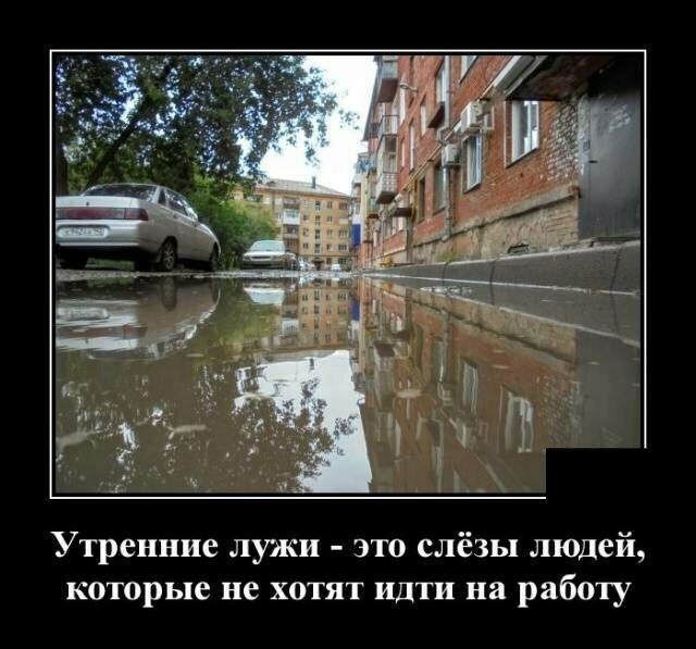 Демотиваторы