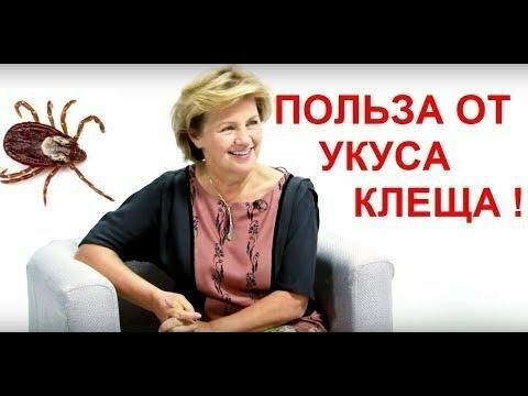 Натальи Толоконской заслуженный врач заявила о пользе укусов клещей
