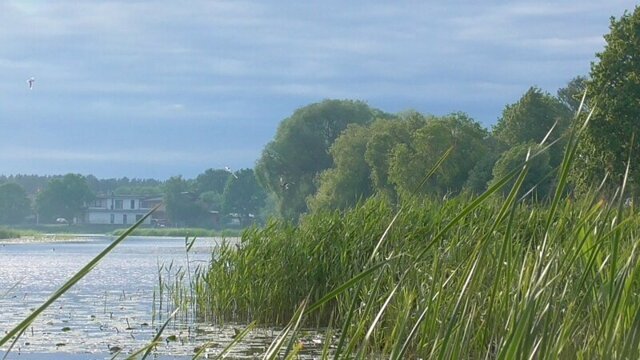 Рыбалка в первый вечер лета