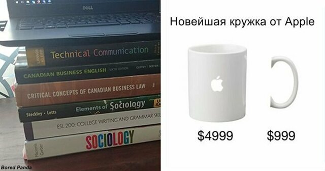 Люди смеются над двумя последними продуктами Apple.  28 фото