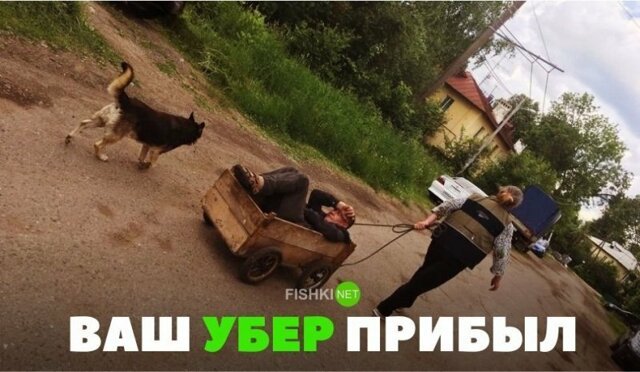 Подборка автомобильных приколов