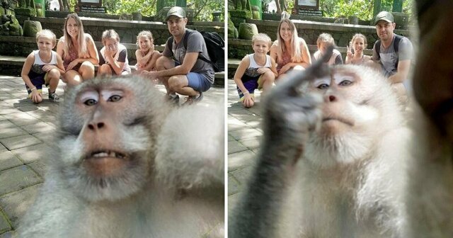 На Бали обезьяна отобрала камеру и показала в объектив средний палец