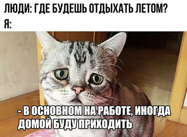 Прикольные и смешные картинки