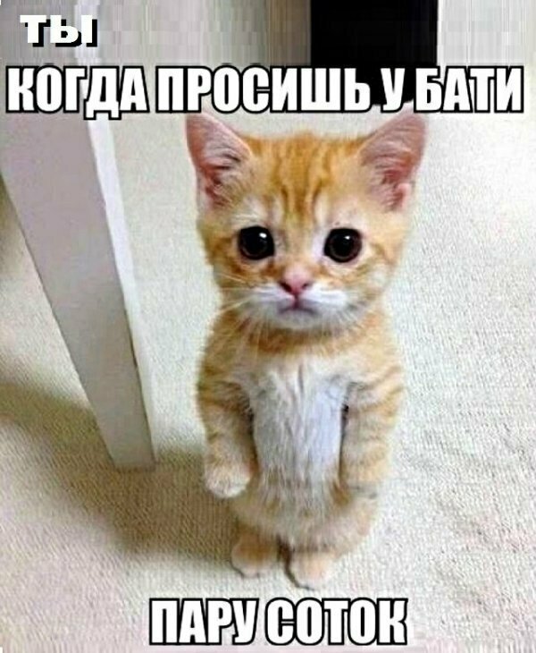 Раньше люди платили, чтобы обойти закон, теперь платят, чтобы было все по закону