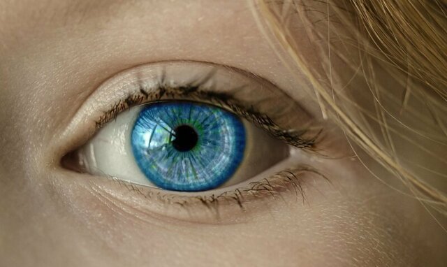 Почему у людей разный цвет глаз?