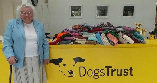 89-летняя женщина связала 450 одеял для собачьих приютов