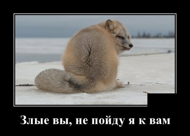 Демотиваторы