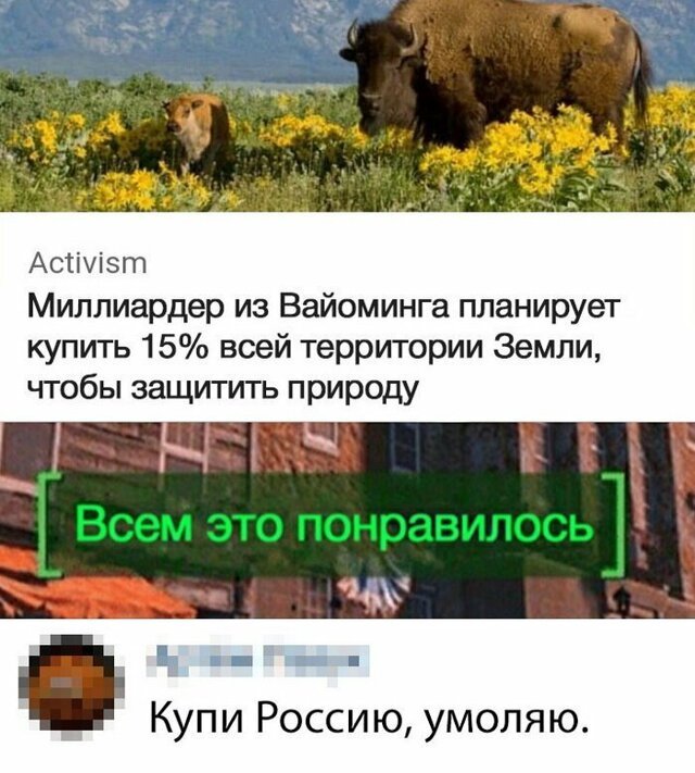 Скрины из социальных сетей