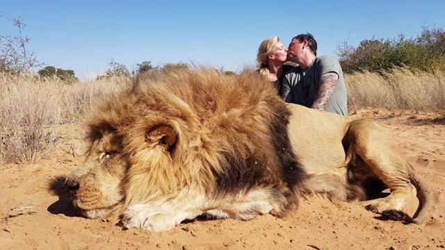 Целующиеся на фоне убитого льва канадцы разгневали защитников природы