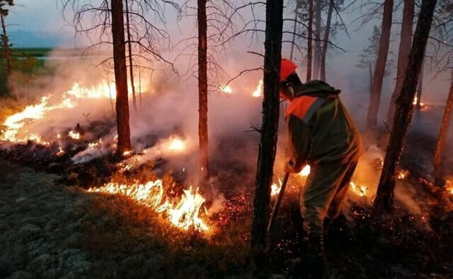 Глава Росгидромета посоветовал адаптироваться к лесным пожарам