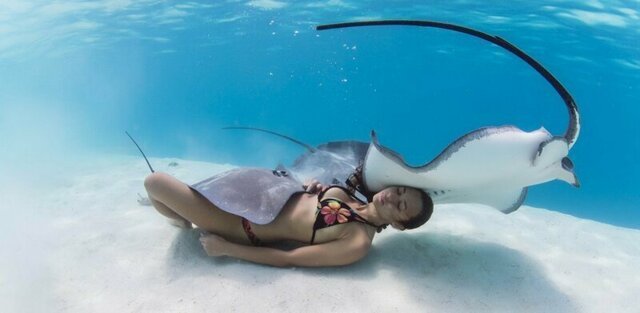 Фотоподборка