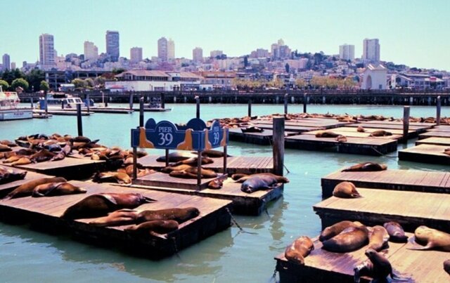 Такая разная и манящая Калифорния