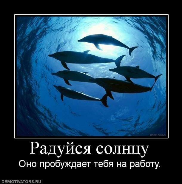 Демотиваторы