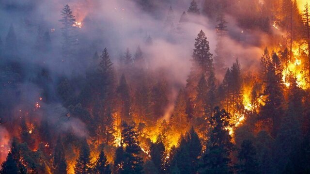 Леса Сибири будут полыхать до середины осени