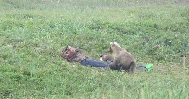 На Камчатке медвежонок застал спящих рыбаков врасплох