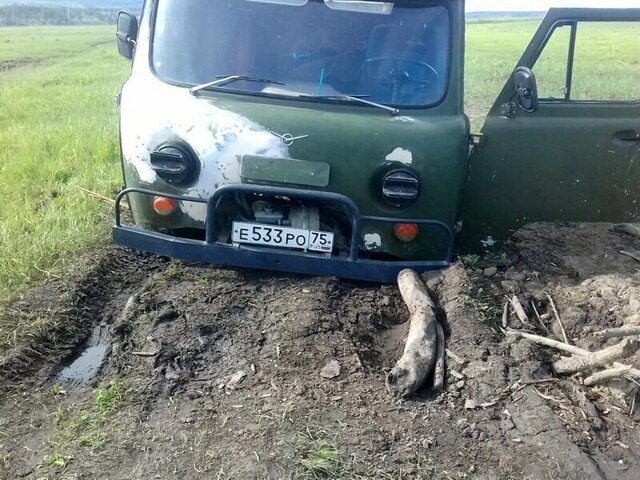 Автовсячина