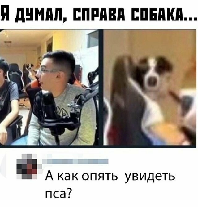 Намешалось