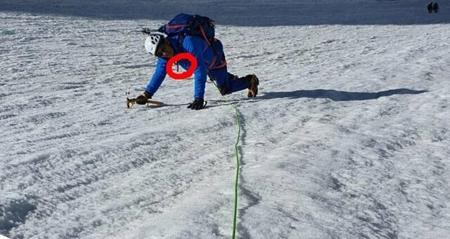 Пользователи сети высмеяли французского политика за фотофейк