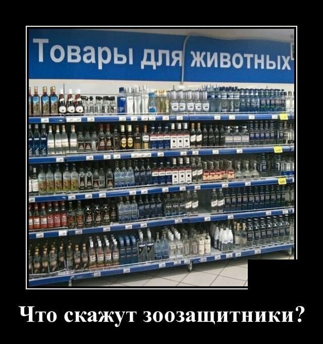 Демотивируй