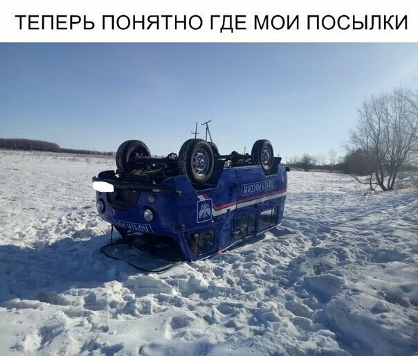 Смешные картинки