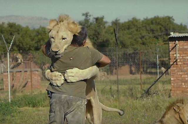 Любитель диких животных создал свой заповедник для хищников в ЮАР