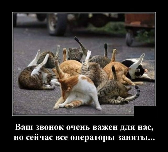 Демотивируй