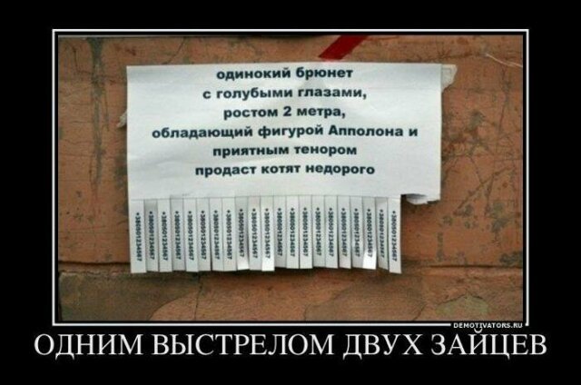 Демотиваторы