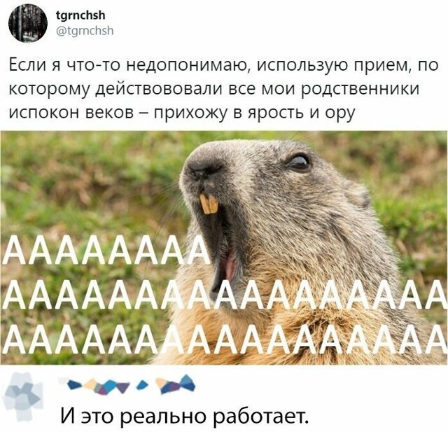 Скрины из социальных сетей