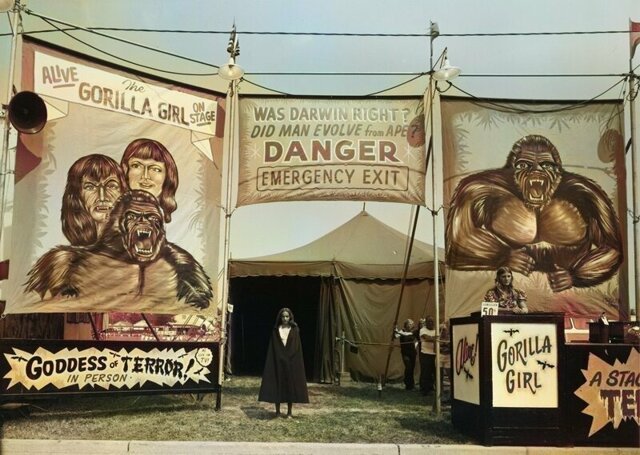 Американская история ужасов: реальные бродячие цирки в документальном фотопроекте Рэндала Левенсона