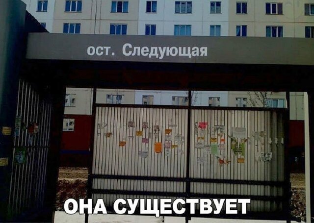Прикольные и смешные картинки