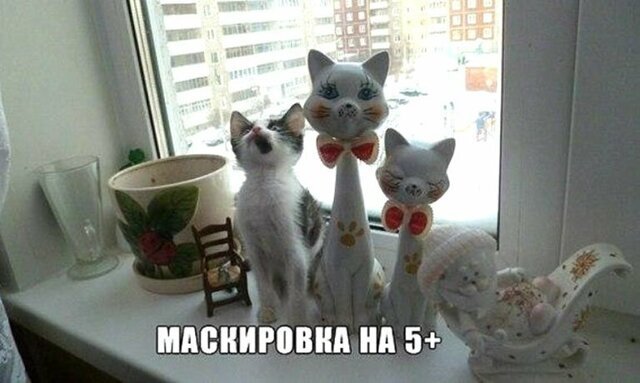 Прикольные и смешные картинки