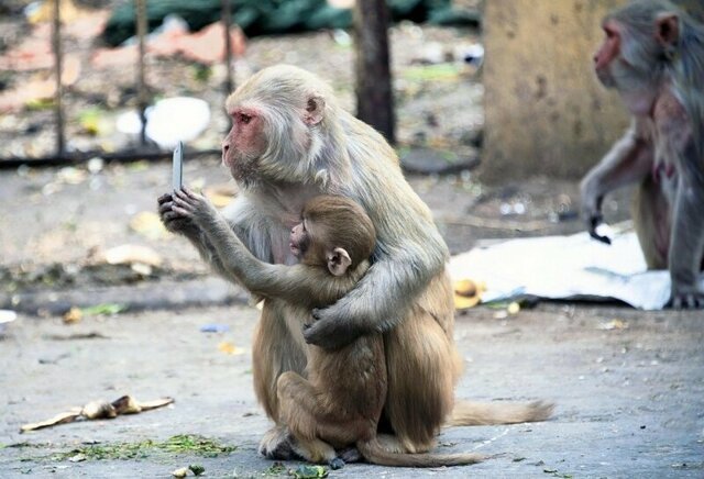 Фотоподборка