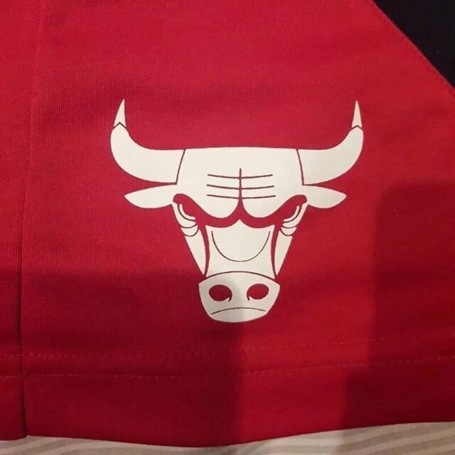 Перевернутый логотип команды Chicago Bulls напомнил пользователям Сети нечто неприличное