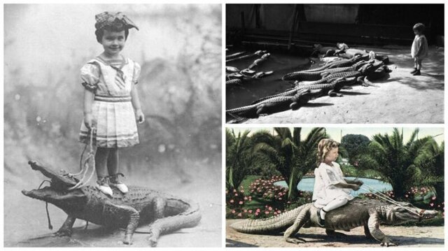 Как американские дети с аллигаторами играли
