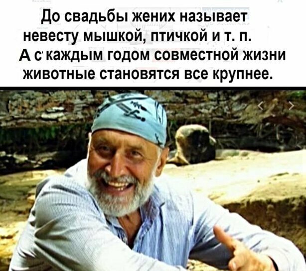 Прикольные и смешные картинки