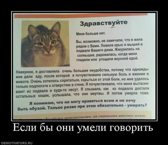 Демотиваторы