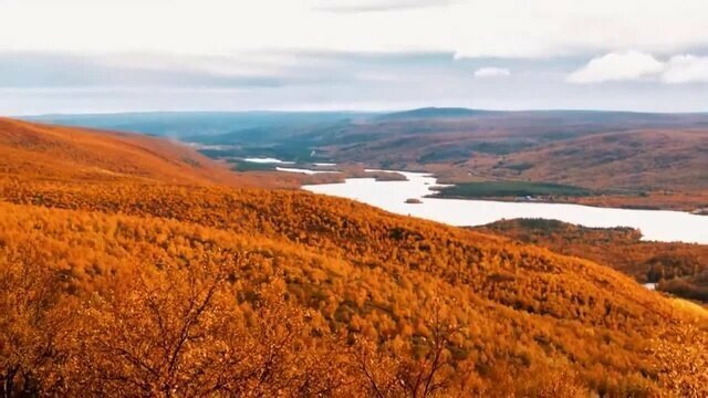 Relax Coub Vol. 1: Залипательные кубы, на которые можно смотреть бесконечно